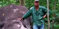 Elefante esmagou caçador após ser morto em safári no Zimbábue  Foto: TB BIG GAME HOUNDS / BBC News Brasil