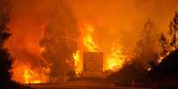 Incêndio em Portugal  Foto: WILDFIRES / EFE
