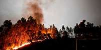 Encêndio em Portugal  Foto: BBC News Brasil