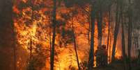 Incêndio em Portugal  Foto: BBC News Brasil