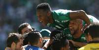 Jogadores do Palmeiras comemoram um dos gols da vitória de 4 a 2 sobre o Vitória, nesse último domingo (16)  Foto: Cesar Greco/Agência Palmeiras