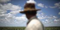 Produtor olha sua planta&ccedil;&atilde;o de soja em Barreiras, no Estado da Bahia
06/02/2014
REUTERS/Ueslei Marcelino  Foto: Reuters