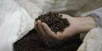 Safra do maior produtor e exportador global de café deve totalizar 47,2 milhões de sacas de 60 kg, projetou o IBGE.  Foto: Reuters