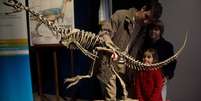 Do tamanho de um cachorro grande: o chilesaurus foi descoberto na América do Sul   Foto: BBC News Brasil