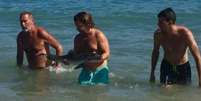Turistas causam a morte de golfinho após retirar o animal da água em praia no sul da Espanha  Foto: Facebook / Reprodução