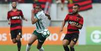 Jogo na Arena Pernambuco rendeu uma pena pesada ao Palmeiras (Foto: Cesar Greco/Palmeiras)  Foto: Lance!