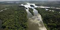 Amazônia brasileira  Foto: BBC News Brasil