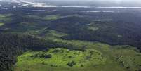 Floresta Amazônica  Foto: BBC News Brasil