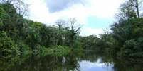 Um dos acessos à Reserva do Rio Iratapuru, no Amapá, parte da Renca   Foto: WWF-Brasil / Luiz Coltro