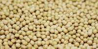 Gr&atilde;os de soja s&atilde;o exibidos em unidade de pesquisa da Monsanto, no Estado do Missouri, EUA 28/07/2014 REUTERS/Tom Gannam  Foto: Reuters