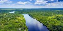 Rio em meio à floresta amazônica  Foto: BBC News Brasil