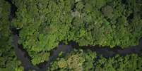 Reserva na Amazônia  Foto: BBC News Brasil
