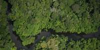 Extinção de reserva foi promovida sem consulta ao Congresso e à sociedade civil  Foto: BBC News Brasil