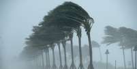 Mesmo rebaixado de nível, o furacão Irma causou estrago em cidades da Flórida com ventos de até 136 km/h na madrugada desta segunda-feira  Foto: Getty Images