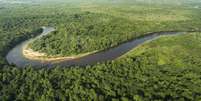 Pesquisadores temem que nova "Lei do Pantanal" aumente devastação do bioma   Foto: BBC News Brasil