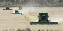 M&aacute;quinas colhem trigo em campo perto de Kulun, R&uacute;ssia 
28/09/2017 REUTERS/Ilya Naymushin  Foto: Reuters