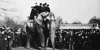 Jumbo passeia com visitantes do zoológico de Londres; peso provocou lesões nos quadris e joelhos do elefante | Foto: Wiki Commons  Foto: BBC News Brasil