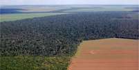 Vista aérea da Amazônia, no Brasil: Destruíção de áreas na floresta é apontada como "alarmante", mesmo com ritmo reduzido  Foto: Getty Images / BBC News Brasil