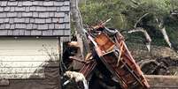 Cão farejador busca por vítimas em casa danificada por deslizamentos na Califórnia 09/01/2018  Mike Eliason/Corpo de Bombeiros de Santa Barbara/Divulgação via REUTERS  Foto: Reuters