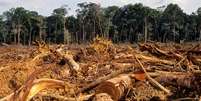 Brasil reduziu em 83% a taxa de desmatamento entre 2004 e 2012, mas, desde então, a área desmatada voltou a crescer  Foto: Getty Images / BBC News Brasil