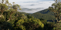 Parque Estadual da Serra do Mar, Santa Virgínia  Foto: Divulgação