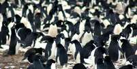 As Ilhas Danger formam um arquipélago compacto na ponta de uma península | Foto: M.Polito/LSU  Foto: BBC News Brasil