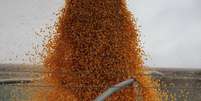 Milho sendo despejado em caminhão durante colheita em Dixon, Nebraska, EUA
26/01/2017
REUTERS/Lucas Jackson  Foto: Reuters