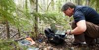 Vladimir Romanovsky coleta registros de temperatura abaixo do solo da floresta | Foto: Anthony Rhoades  Foto: BBC News Brasil