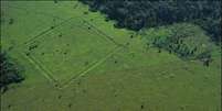 Valas em formatos geométricos chamaram a atenção dos pesquisadores em áreas desmatadas da Amazônia  Foto: University of Exeter / BBC News Brasil