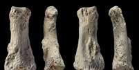 Um fóssil encontrado por pesquisadores no deserto árabe foi identificado como sendo a falange de um Homo sapiens de 85 mil anos   Foto: BBC News Brasil