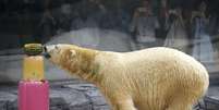 Inuka no zoológico de Cingapura 16/12/2015 REUTERS/Edgar Su  Foto: Reuters