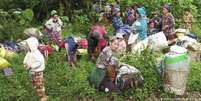 Civis da minoria kachin em fuga de suas casas enquanto prosseguem os combater no norte de Mianmar.   Foto: DW / Deutsche Welle