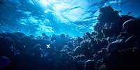 Apenas 15% do oceano do planeta é mapeado  Foto: stock_colors / BBC News Brasil