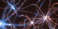 Pesquisa questiona armazenamento da memória nas sinapses  Foto: Getty Images / BBC News Brasil