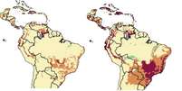Os dois mapas mostram as mudanças que ocorrerão até 2100 na duração da temporada de transmissão da dengue, que resultam em maior número de casos da doença na América Latina; o mapa da esquerda indica a situação caso o aquecimento global seja limitado a 1,5 ◦C e o mapa da direita mostra a intensificação e alastramento da doença caso o aquecimento chegue a 3,7◦C.  Foto: PNAS / Divulgação