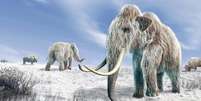 Seria possível clonar um mamute?  Foto: SPL / BBC News Brasil