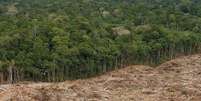 Imagem de &aacute;rea desmatada na Floresta Amaz&ocirc;nica  Foto: ANSA / Ansa - Brasil