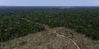 Visão aérea de área desmatada em Apuí, Amazonas  27/07/2017 REUTERS/Bruno Kelly  Foto: Reuters