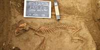 Primeiros cães vieram para as Américas apenas por volta de 10 mil anos atrás, segundo achados arqueológicos  Foto: Illinois State Archaeological Survey / BBC News Brasil