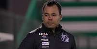 Jair Ventura n&atilde;o &eacute; mais o t&eacute;cnico do Santos  Foto: Liamara Polli/Agif / Gazeta Press