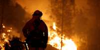 Bombeiro observa incêndio na Califórnia
27/07/2018
REUTERS/Fred Greaves  Foto: Reuters