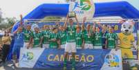 Verdão conquistou o troféu na categoria sub-14 e o Santos no sub-10 e no sub-12 (Foto: Lucas Valéo/Divulgação)  Foto: Lance!