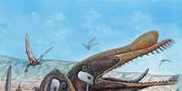Os pterossauros - répteis voadores, parentes dos dinossauros - viveram há 80 milhões de anos  Foto: Maurilio Oliveira / Museu Nacional / BBC News Brasil
