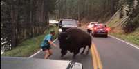 Homem enfrentou bisão e assustou motoristas.  Foto: Facebook / Lindsey Jones / Estadão