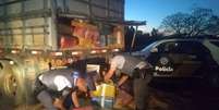 Policiais rodoviários encontraram 4,4 toneladas de maconha escondidas sob uma carga de milho a granel em Teodoro Sampaio, extremo oeste de São Paulo  Foto: Polícia Militar Rodoviária/Divulgação / Estadão Conteúdo
