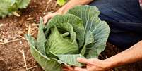 Pesquisa mostra como substâncias presentes em determinados legumes e verduras podem ajudar a prevenir a doença  Foto: Getty Images / BBC News Brasil