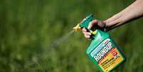 Herbicida Roundup da Monsanto, que contem glifosato, é pulverizado em plantação
06/05/2018
REUTERS/Benoit Tessier  Foto: Reuters