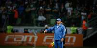 O técnico do Palmeiras, Luiz Felipe Scolari, à beira do campo contra o Cruzeiro  Foto: Alexandre Schneider / Getty Images