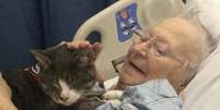 Donny, o gato cego que ajuda a 'curar' pacientes idosos.  Foto: Instagram/@blossom_and_her_family / Estadão