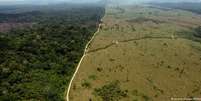 Desmatamento na Amazônia, segundo estudo, pode triplicar sob Bolsonaro  Foto: DW / Deutsche Welle